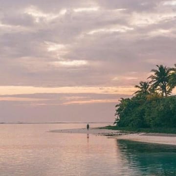 Avatar do usuário Anika